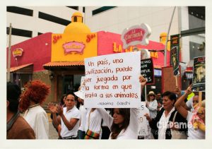 Puebla:Marcha por dia del perro callejero