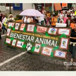 Puebla: Marcha por el día del perro callejero