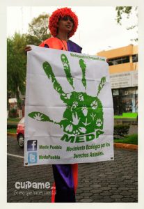 Puebla: Marcha por el día del perro callejero