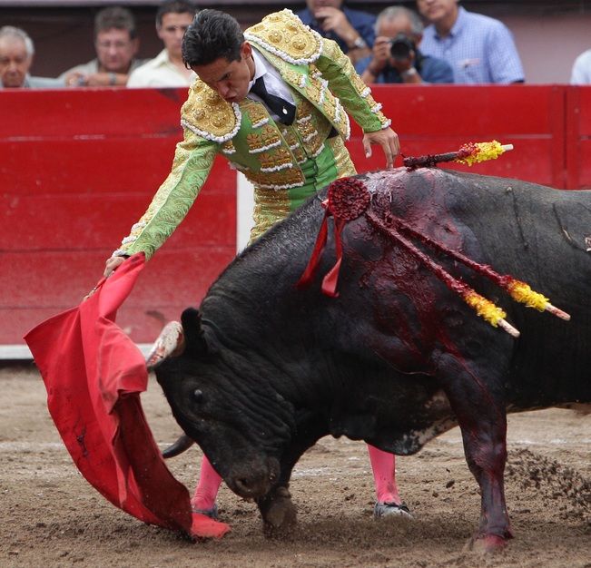 Featured image for “7 de 10 mexicanos están contra las corridas de toros”
